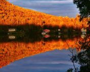 Kanada Urlaub Lake Houses Trees Lake Houses - AlainAudet / Pixabay