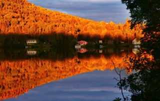 Kanada Urlaub Lake Houses Trees Lake Houses - AlainAudet / Pixabay