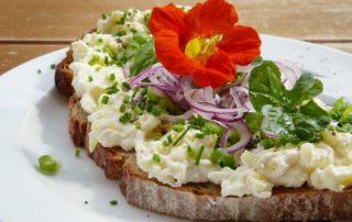 Vegetarische Brotaufstriche eselber machen