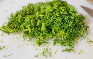 Dill haltbar machen: So bewahrst du das volle Aroma beim Einfrieren und Trocknen 2 Dill einfrieren oder trocknen