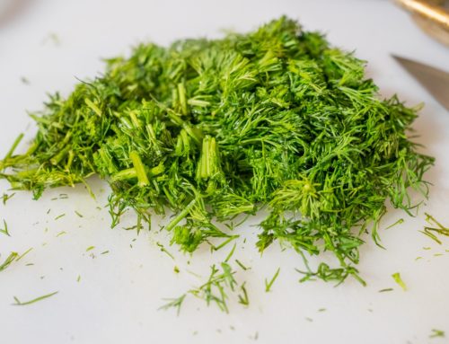 Dill haltbar machen: So bewahrst du das volle Aroma beim Einfrieren und Trocknen