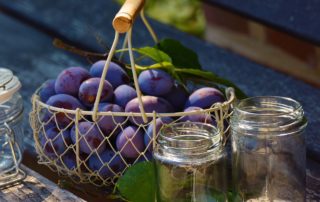 Fruchtigen Brotaufstrich selber herstellen