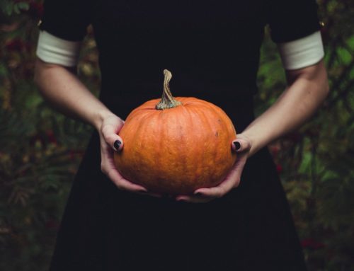 Kürbisse bemalen – die besten Tipps für Halloween