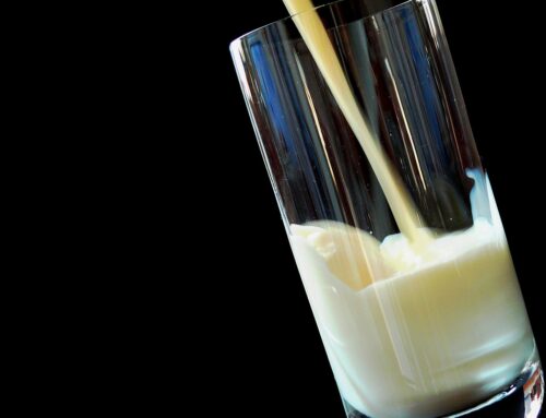 Laktoseintoleranz? Warum das kein Grund zur Panik ist