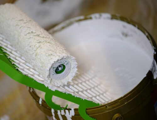 Wandfarbe schimmelt im Eimer