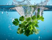 ai generated leaves water splash 9016505