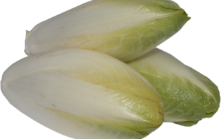 Chicorée braten und richtig lagern