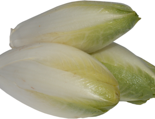 Chicorée braten: So gelingt dir das Gemüse perfekt in der Pfanne