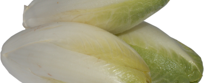 Chicorée braten und richtig lagern