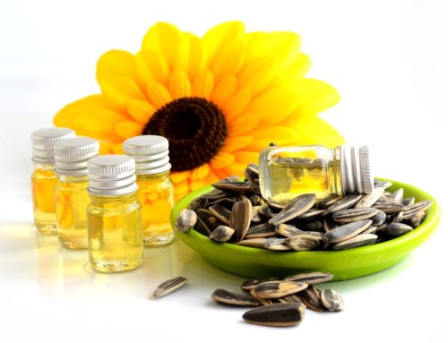 Linolsäure in Lebensmitteln: Wo die essenzielle Fettsäure steckt und wie du sie aufnimmst