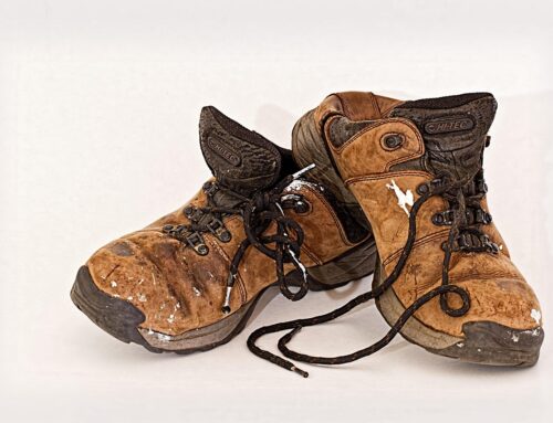 Schuhe entsorgen: Wohin mit alten Sneakern, Stiefeln und Sandalen