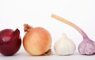 onions garlic vegetables spices 1239423