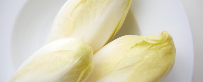 Chicorée lagern: So bleibt das Gemüse lange frisch und knackig 2 Chicoree lagern