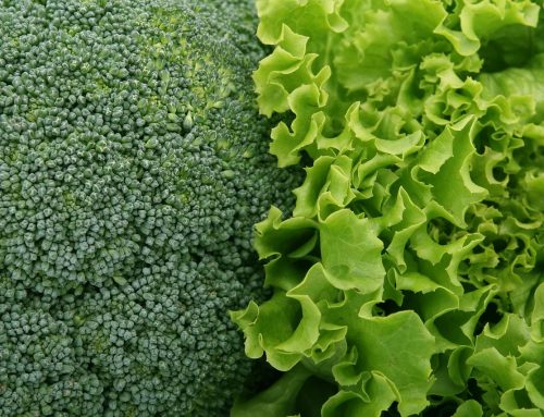 Brainfood: Diese Lebensmittel bringen dein Gehirn auf Hochtouren