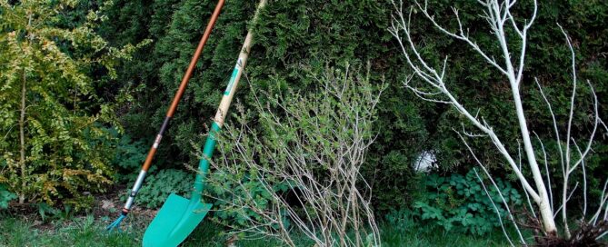 gardening, garden design, plants, bushes, garden tools, computing, nature, spade, gardeners, move plants