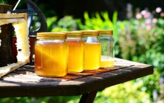 honey, jars, harvest, bees, garden, honey jars, nature, glass containers, glass jars, golden, pure, raw