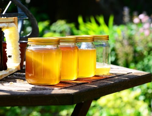 Jeden Tag Honig essen: Was das mit deinem Körper macht
