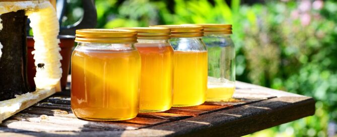 Jeden Tag Honig essen: Was das mit deinem Körper macht 2 honey, jars, harvest, bees, garden, honey jars, nature, glass containers, glass jars, golden, pure, raw