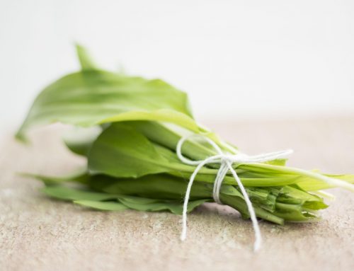 Bärlauch sammeln und zubereiten: Saison, Ernte und die besten Rezeptideen