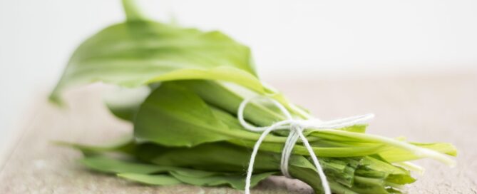 bear garlic, green, to eat, bärlauch, fresh, healthy, meal, nature, bärlauch, bärlauch, bärlauch, bärlauch, bärlauch