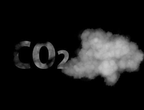 CO2-Emissionen: Was du wirklich darüber wissen musst