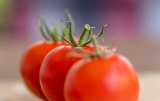 tomatoes, vegetable, food, fruit, produce, healthy, nourishment, red tomatoes, fresh, harvest, organic, closeup, tomatoes, tomatoes, tomatoes, vegetable, food, food, food, food, food, fruit, fruit