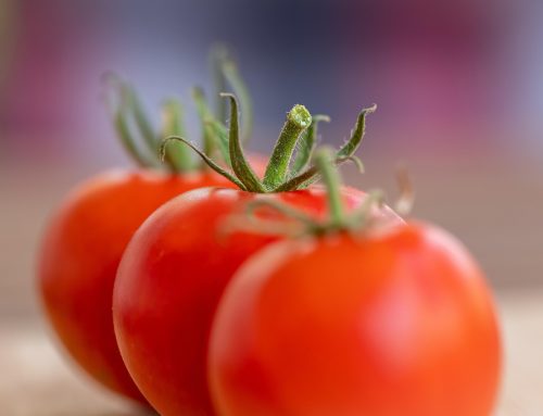 Jeden Tag Tomaten essen: Das passiert in deinem Körper