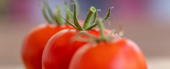 Jeden Tag Tomaten essen: Das passiert in deinem Körper 2 tomatoes, vegetable, food, fruit, produce, healthy, nourishment, red tomatoes, fresh, harvest, organic, closeup, tomatoes, tomatoes, tomatoes, vegetable, food, food, food, food, food, fruit, fruit