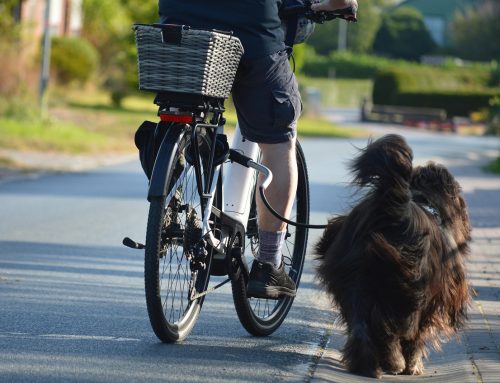 Rechtsfahrgebot für Radfahrer: Diese Regeln kennen die wenigsten