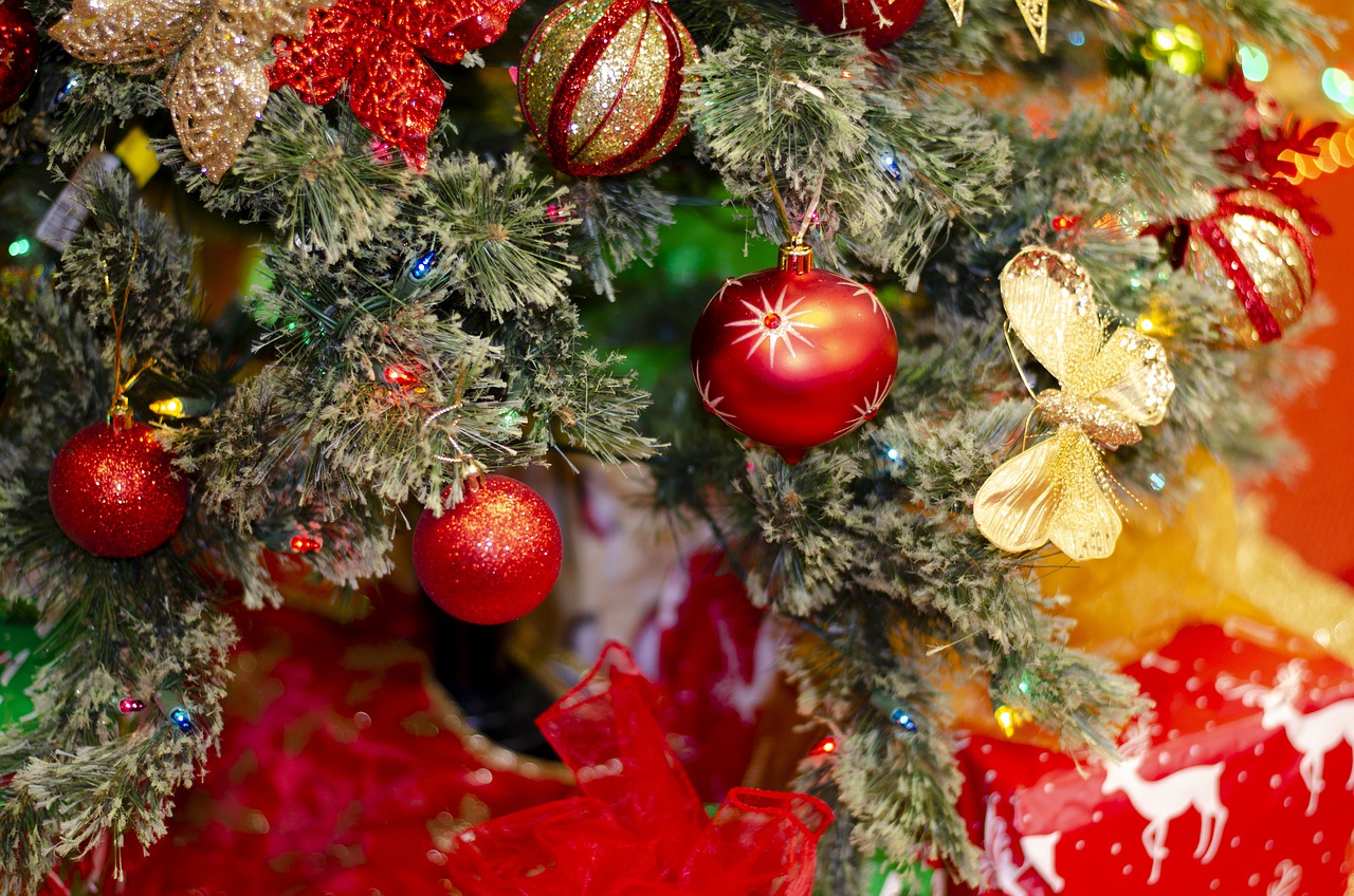 Weihnachtsbaum mieten statt kaufen - Wissensstoff