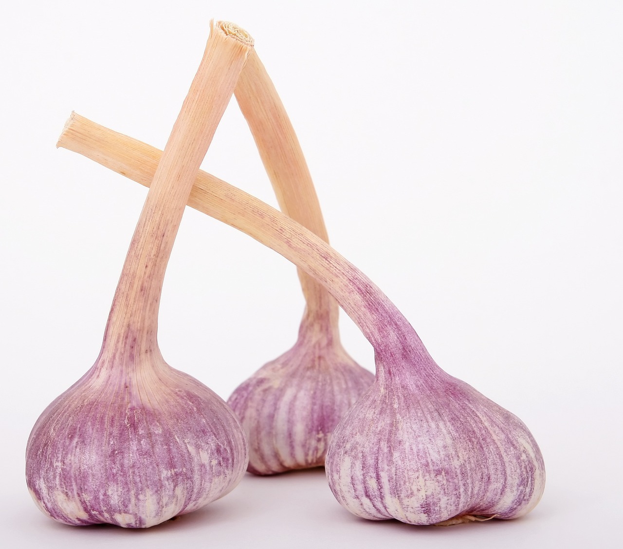 Knoblauch Pflanzen Das Sind Die 7 Schritte Wissensstoff knoblauch-pflanzen-das-sind-die-7-schritte-wissensstoff